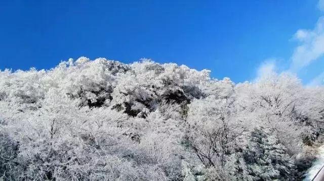 【微海报】甘肃有“数”！成绩来之不易，信心弥足珍贵